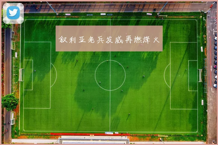 叙利亚老兵发威再燃烽火