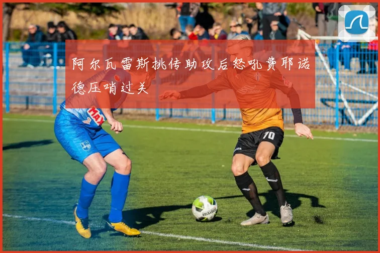 阿尔瓦雷斯挑传助攻后怒吼费耶诺德压哨过关
