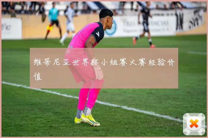 维蒂尼亚世界杯小组赛大赛经验价值