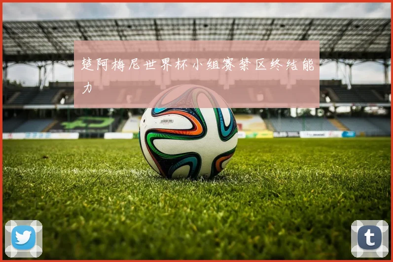 楚阿梅尼世界杯小组赛禁区终结能力