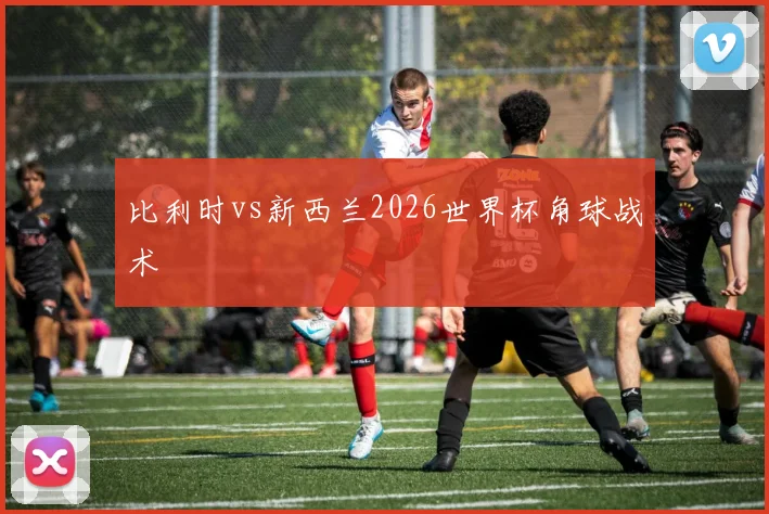 比利时vs新西兰2026世界杯角球战术