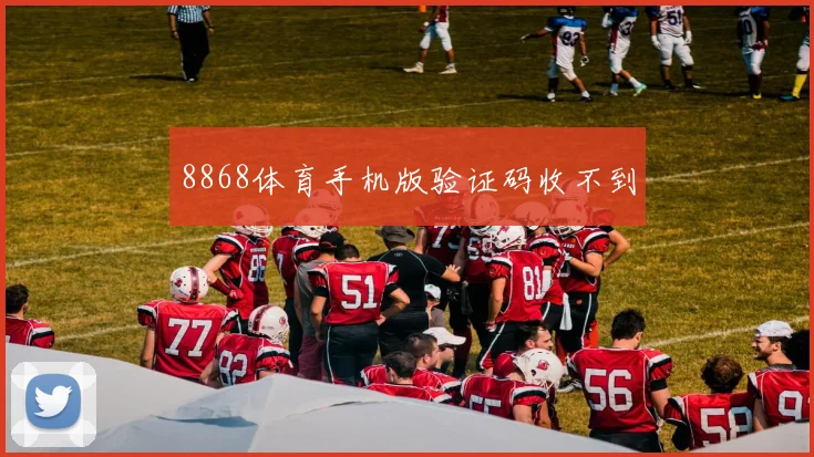8868体育手机版验证码收不到