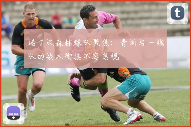 诺丁汉森林球队聚焦：青训与一线队的战术衔接不容忽视